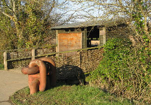 willow beside birdhide